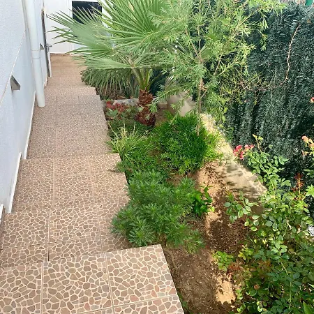 Gandipalm * Gandia