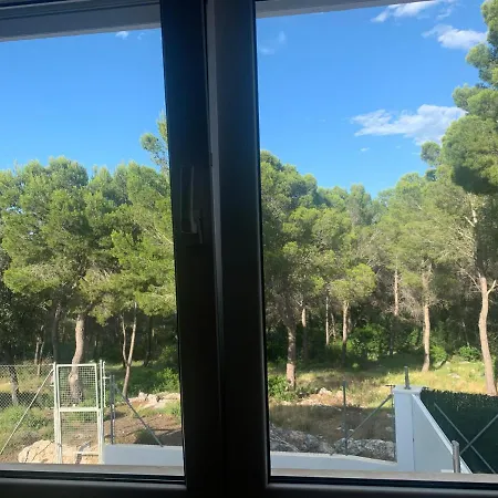 Gandipalm Gandia